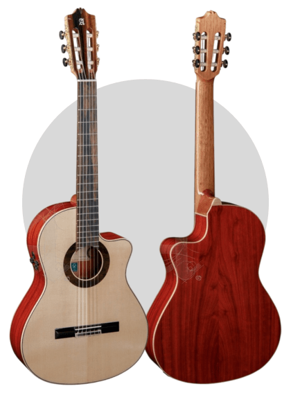 perfil delantero y trasero de la alhambra green sustain gs cutaway e8