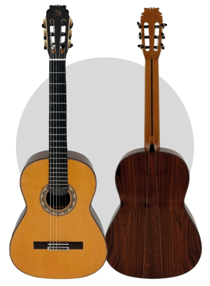 perfil delantero y trasero de la modesto malla excelencia