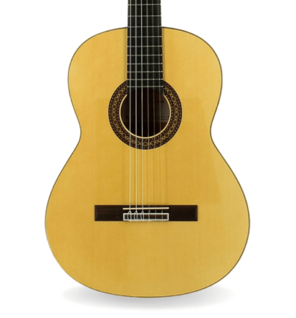 guitarra josé torres jtf-50