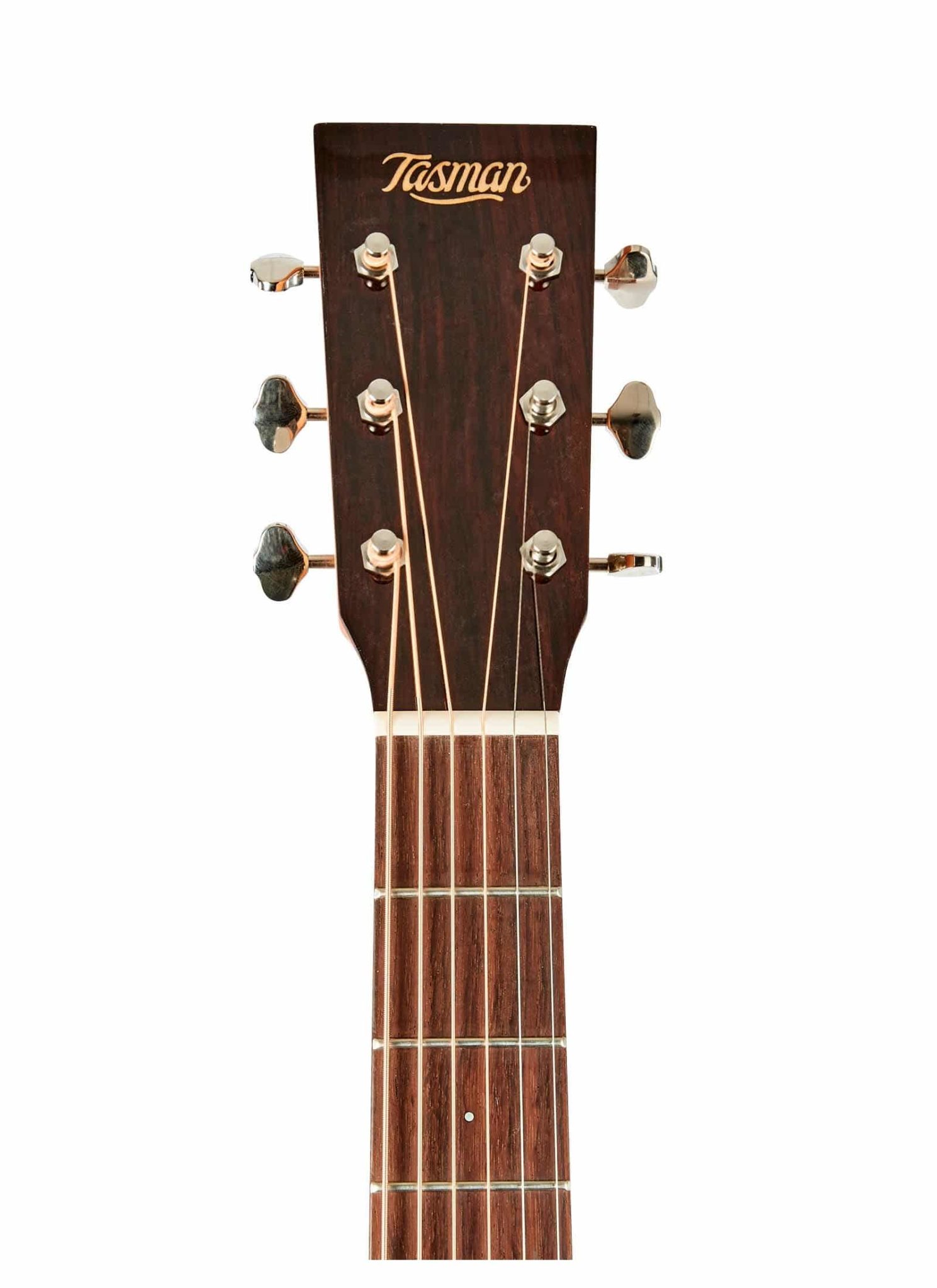 THE TASMAN TA100 DREADNOUGHT ACUSTICA , PREMIUM HARD CASE