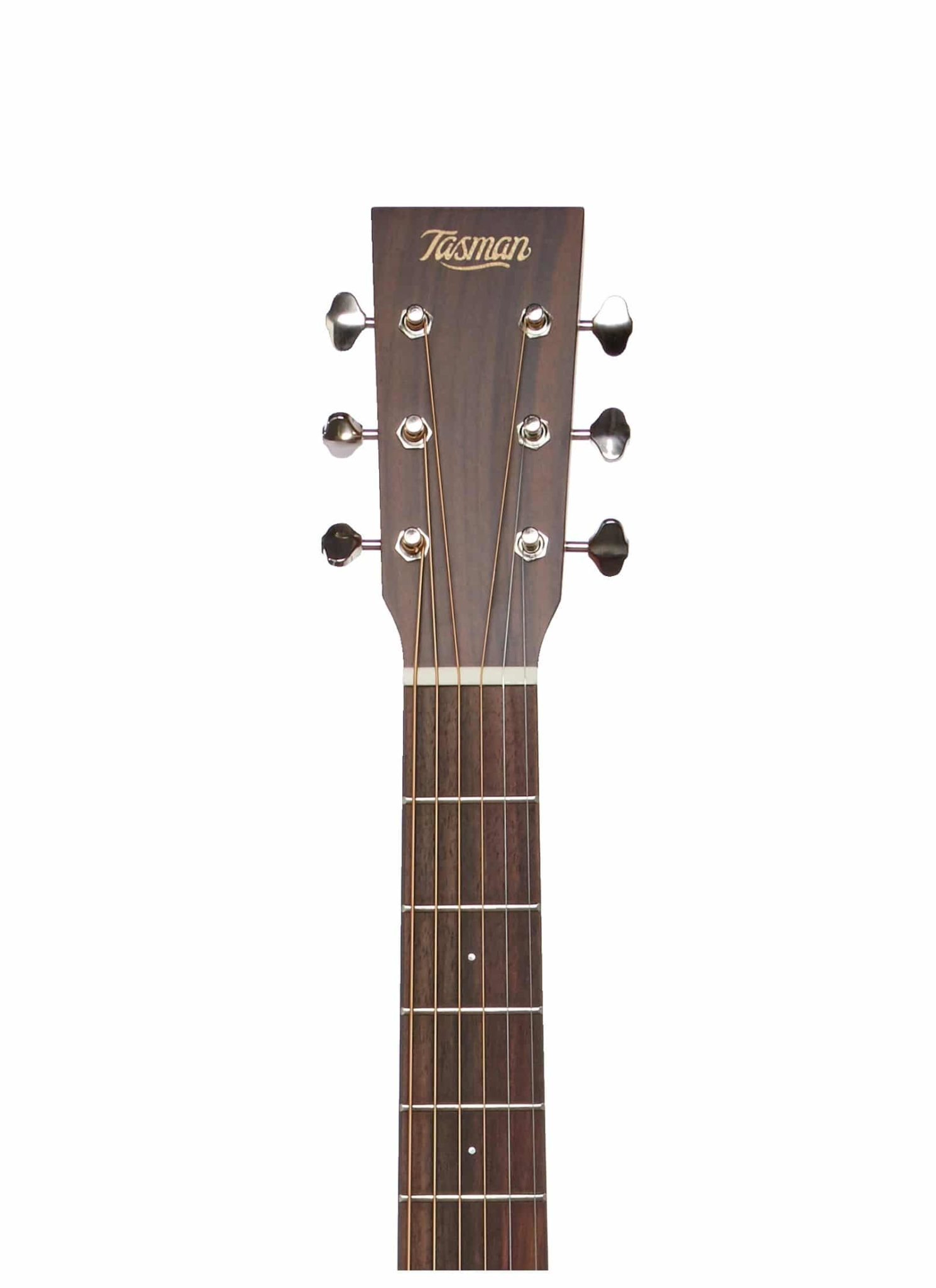 THE TASMAN TA150O-E OM ELECTRO-ACUSTICA FISHMAN PRESYS II , PREMIUM HARD CASE