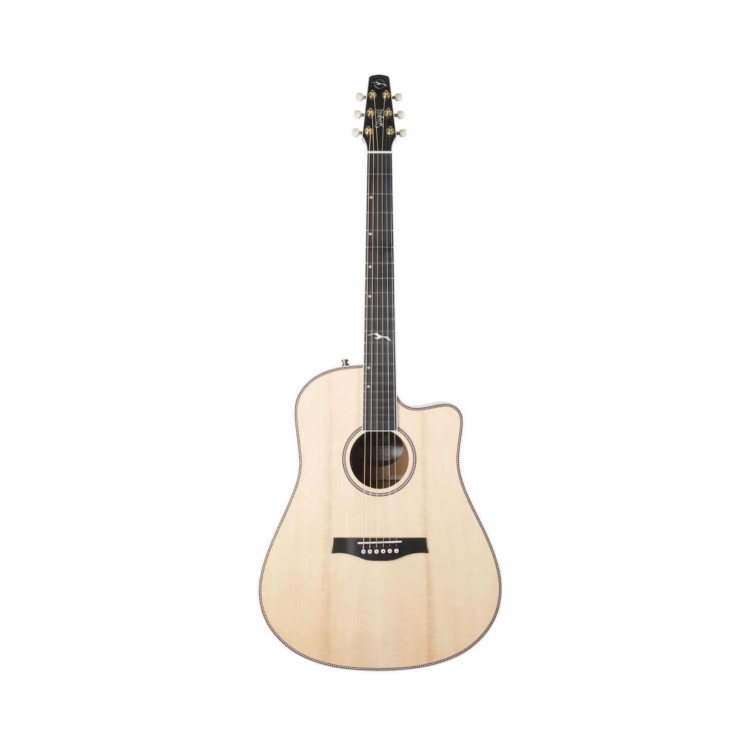 Guitarra Seagull Artist Mosaic CW HG EQ