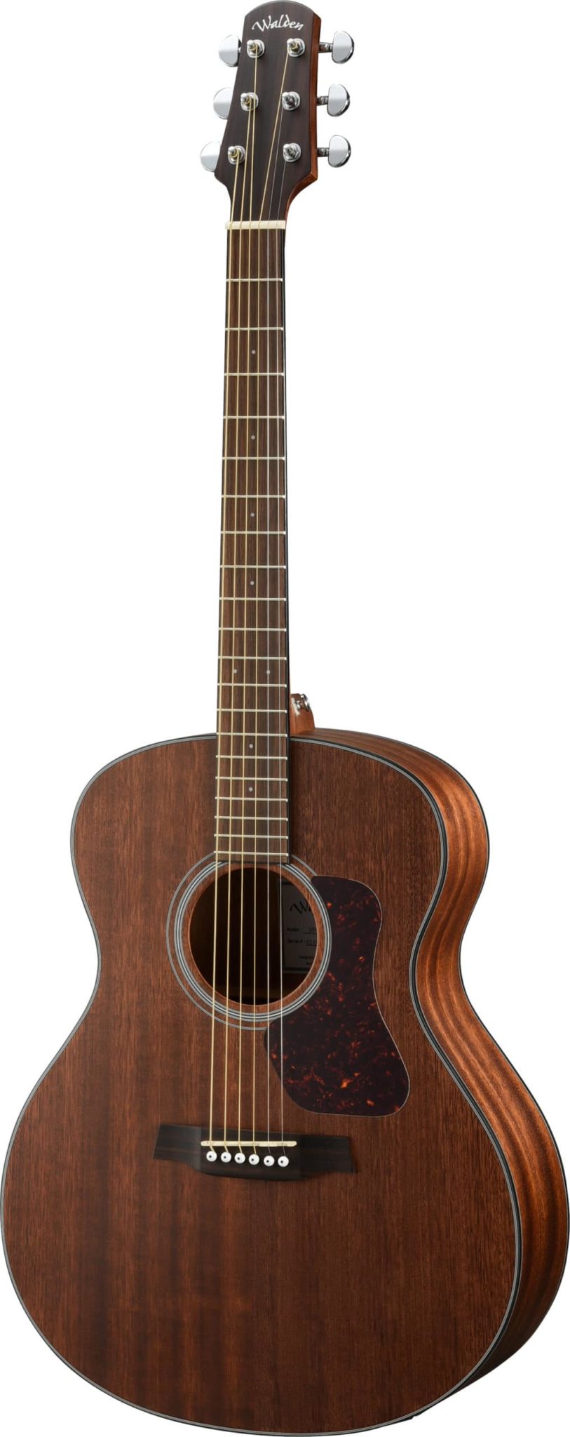 Guitarra Walden WAG551EW NATURA 500