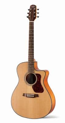 Guitarra Walden WAG570CE NATURA 500