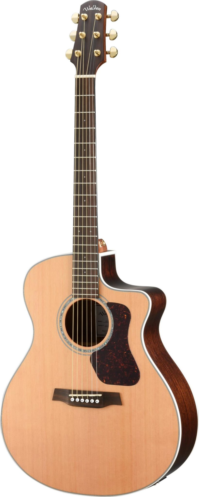 Guitarra Walden WAG630CEW NATURA 600