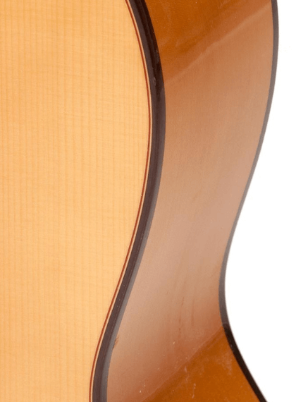 perfiles de la guitarra bros modelo b20f