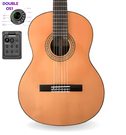 guitarra modesto malla c5