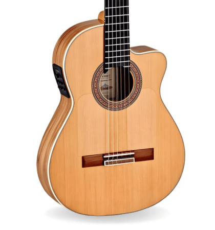 Guitarra Ortega BWSM2
