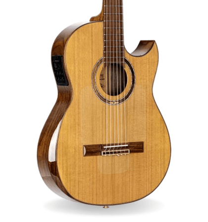 Guitarra Ortega Flametal-two