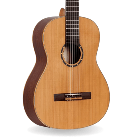 Guitarra Ortega R122