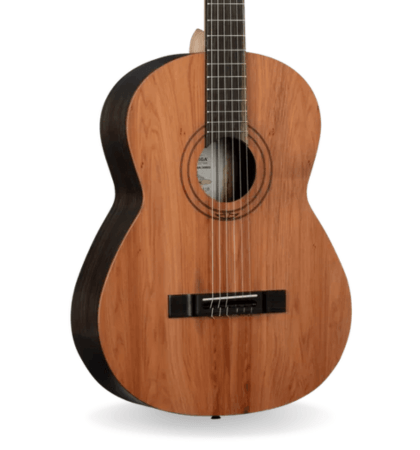 Guitarra Ortega R16PC
