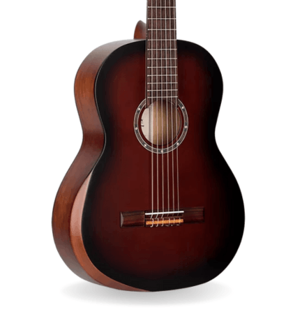 Guitarra Ortega R55DLX-BFT