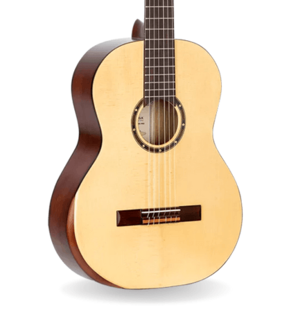 Guitarra Ortega R55DLX