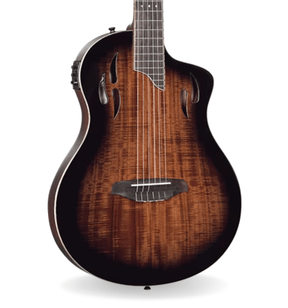 Guitarra Ortega RTPDLX-ACA
