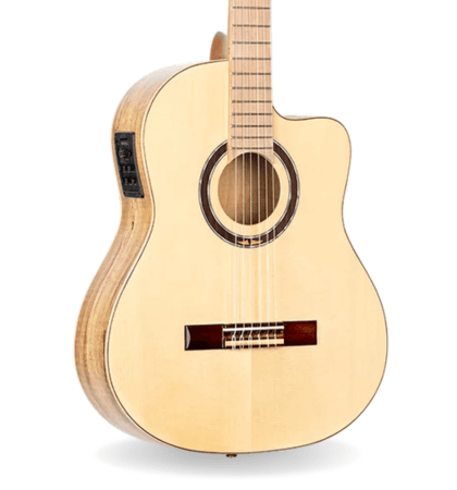 Guitarra Ortega TZSM-3