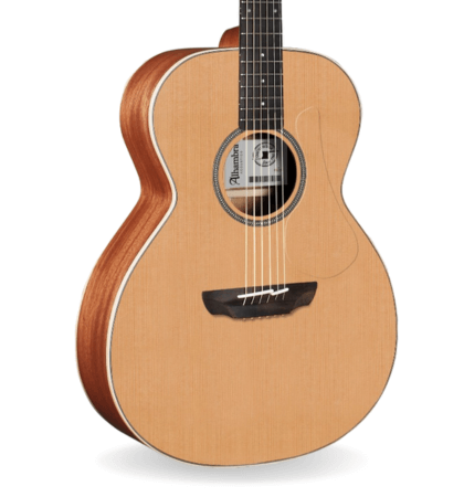 Guitarra Alhambra AA-CSp E9