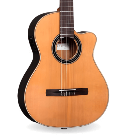Guitarra Alhambra CS-LR CW E1