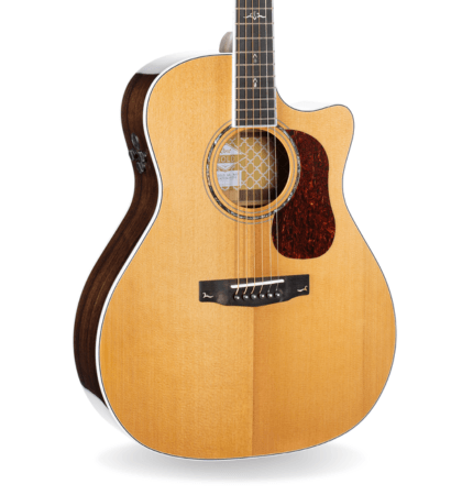 Guitarra Cort Gold-A8