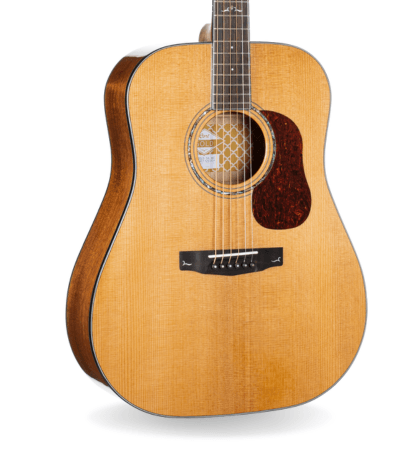 Guitarra Cort Gold-D6