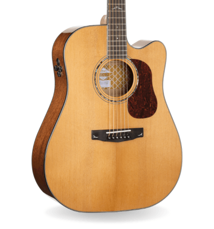 Guitarra Cort Gold-DC6