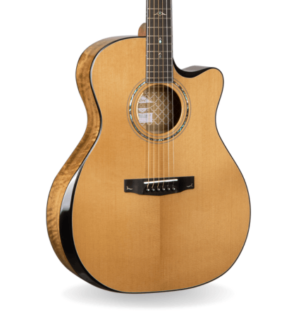Guitarra Cort Gold Edge