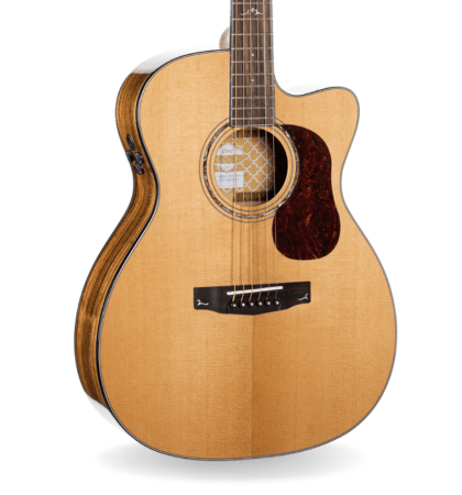 Guitarra Cort Gold-OC6 Bocote