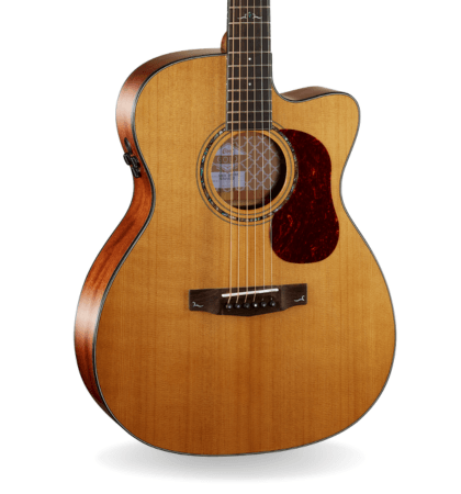 Guitarra Cort Gold-OC6