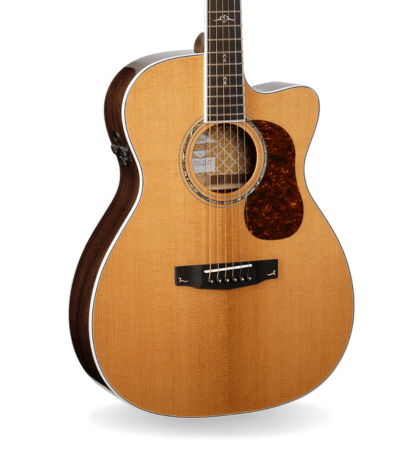 Guitarra Cort Gold-OC8