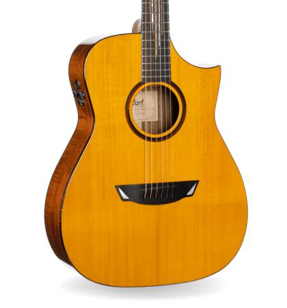 Guitarra Cort Luxe II
