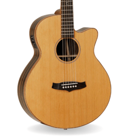 Guitarra Tanglewood TWJSFCE Super Folk