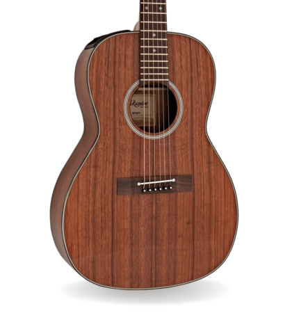 Guitarra Takamine EF407