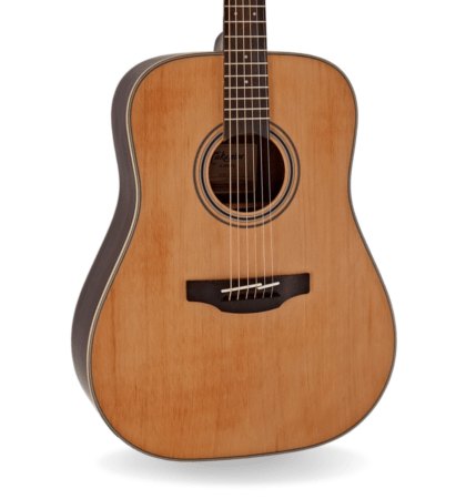 Guitarra Takamine GD20-NS
