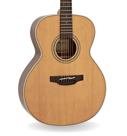 Guitarra Takamine GN20-NS