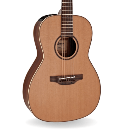 Guitarra Takamine P3NY