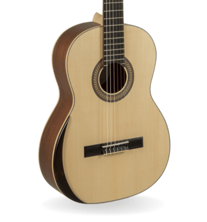 guitarra manuel rodríguez ecología e65