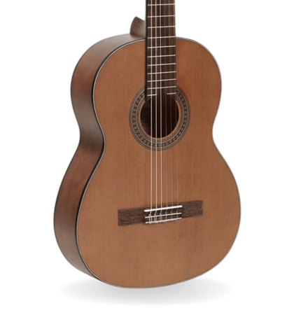 Guitarra Salvador Cortez CC-06