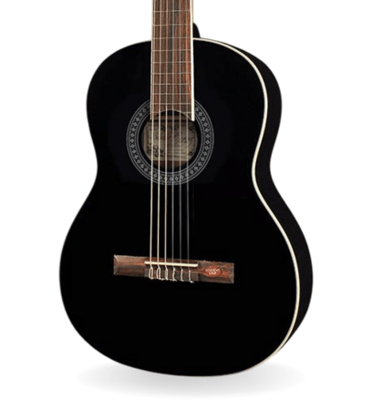 Guitarra Salvador Cortez CC-10-BK
