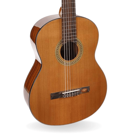 Guitarra Salvador Cortez CC-10