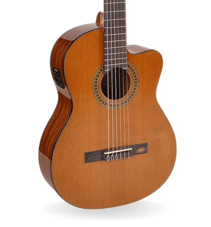 Guitarra Salvador Cortez CC-10CE