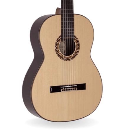Guitarra Salvador Cortez CC-110