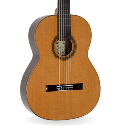 Guitarra Salvador Cortez CC-140