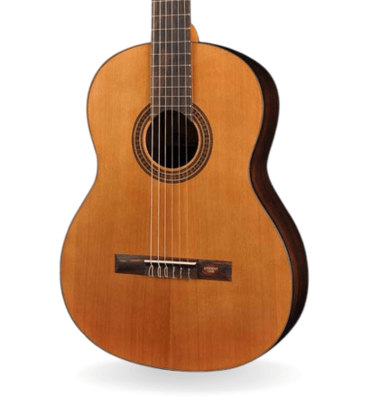Guitarra Salvador Cortez CC-15