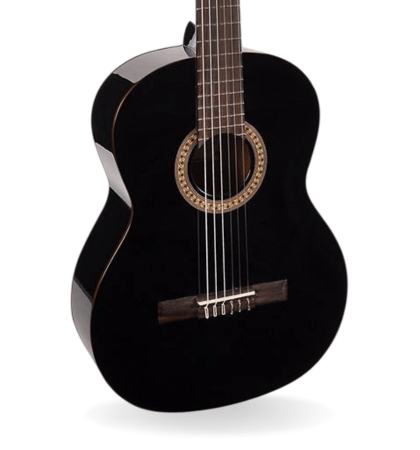 Guitarra Salvador Cortez CC-22-BK
