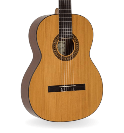 Guitarra Salvador Cortez CC-22