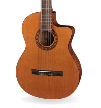 Guitarra Salvador Cortez CC-22CE