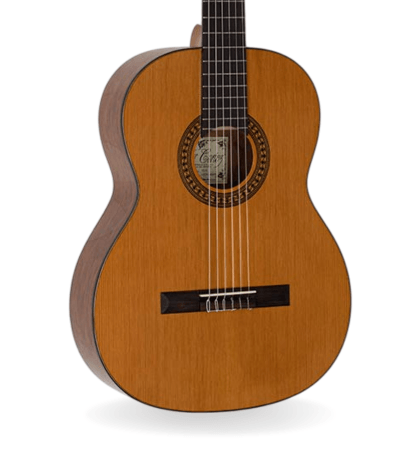 Guitarra Salvador Cortez CC-25