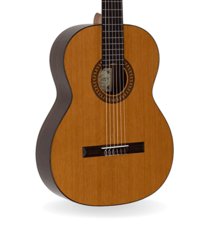 Guitarra Salvador Cortez CC-32