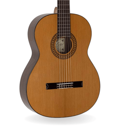 Guitarra Salvador Cortez CC-50