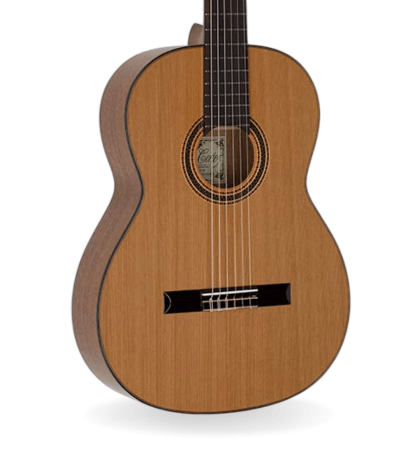 Guitarra Salvador Cortez CC-80
