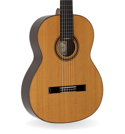 Guitarra Salvador Cortez CC-90